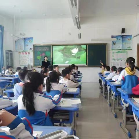 深耕细研踏歌行，联片教研新篇章—2023.12月—2024.7语文教研活动掠影