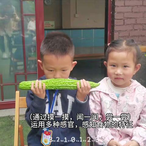 启多思幼儿园2024年中二班教育教学活动第十二周