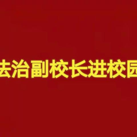 法制教育进校园，护航青春助成长——花园小学