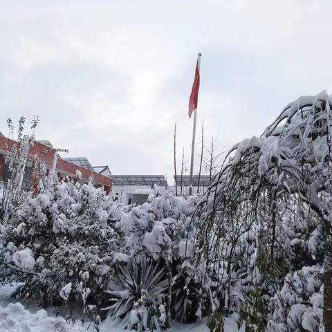 冬日暖人心，扫雪我先行