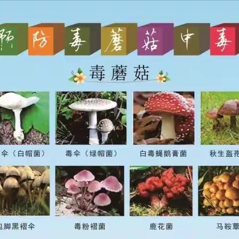 “食”刻牢记，安全你我——市二院创国家食品安全示范城市系列宣传