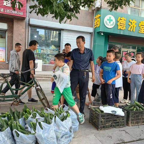 【快乐暑假】劳动结硕果，义卖享收获——府谷县第四小学三（2）班“实践园”采摘义卖活动