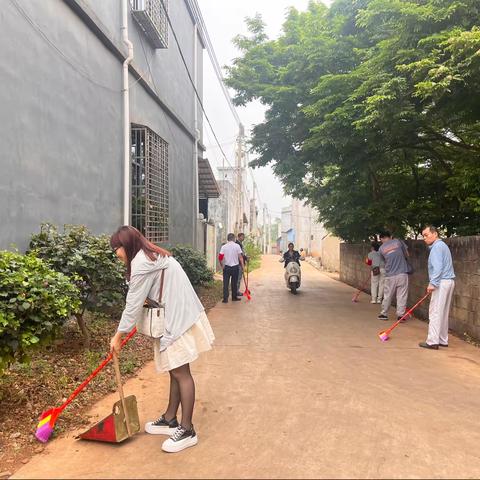 临高调查队公职人员志愿服务队开展“创文创卫日”活动