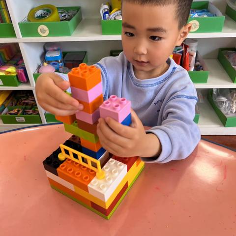 隋氏幼儿园小二班乐高《仙人掌🌵》