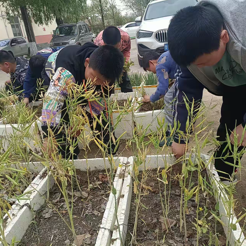 劳动淬练成长，实践创造幸福