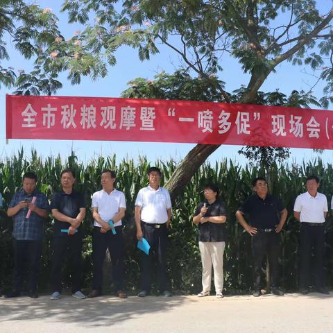 全市秋粮观摩暨“一喷多促”现场会（北五县）在旬邑召开
