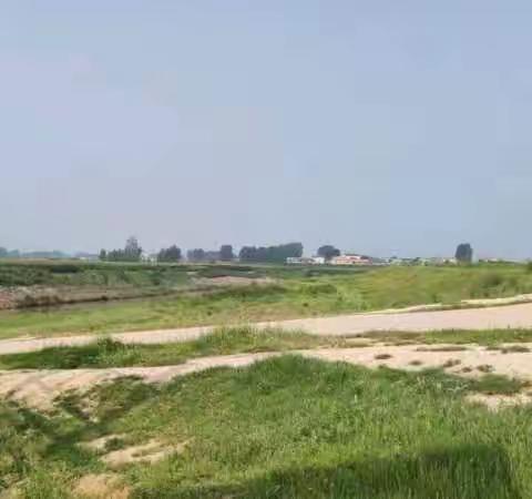 柳园镇常态化，细致化巡河进行中