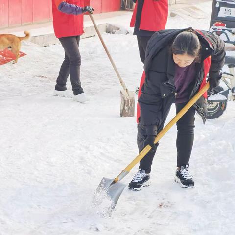 同扫一城雪 共爱一个家—魏都区委宣传部组织开展扫雪除冰工作