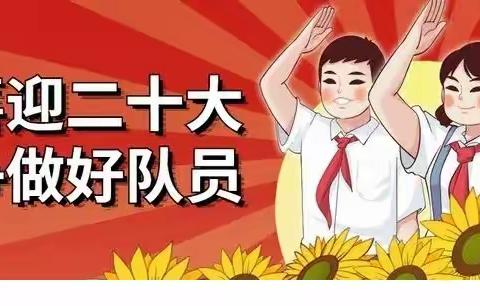 王沟镇中心小学一年级少先队员分批入队仪式