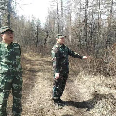 青松林场“爱鸟周”：清网护飞，共筑自由蓝天。