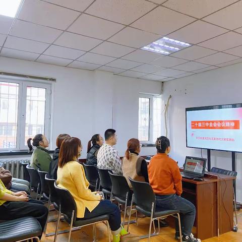 【共乐街道】共乐街道民茂社区开展“学习宣传贯彻党的二十届三中全会精神”主题党日活动