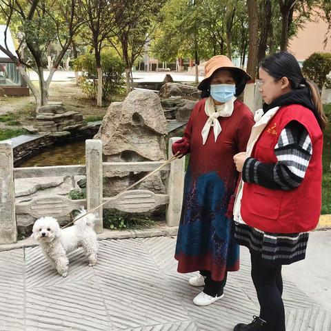 做文明养犬人 建和谐美家园