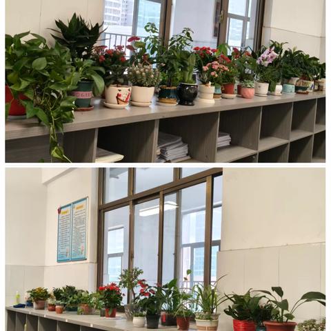 滕南中学“最美教室 最美办公室”评选活动