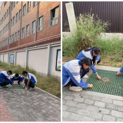 濮阳市油田五中开展新时代文明实践——九年级3班开展【劳动教育，美化城市从我做起】活动
