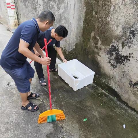 中国有线临高分公司开展爱国卫生运动防蚊灭蚊暨基孔肯雅热、登革热防控工作