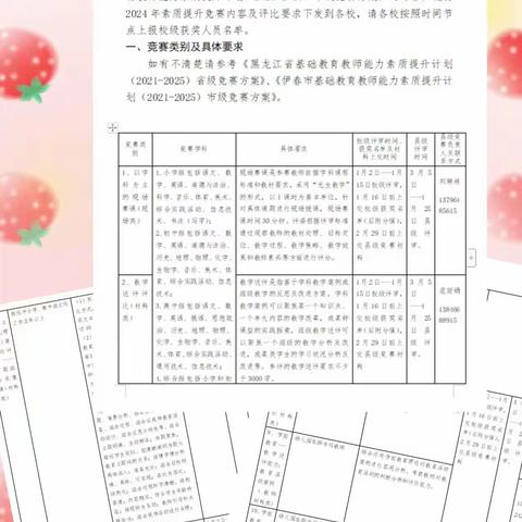 春风化雨育桃李，杏坛耕耘竞芳菲 ——南岔县2024年教师能力素质提升竞赛