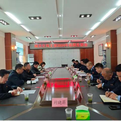 党建引领强根基 红脸出汗促担当 ——城关税务分局党支部2024年度组织生活会暨民主评议党员工作圆满完成