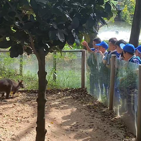 弘文学校秋日研学之旅