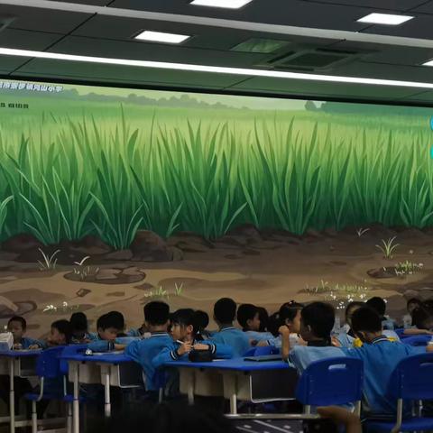 《草色新草木生》寮步镇凫山小学