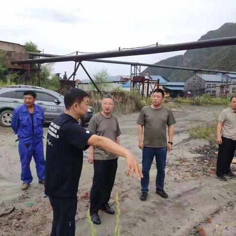 市应急管理局景辉副局长带队到平山区检查防汛备汛工作