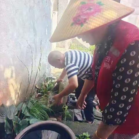 预防“登革热”消除卫生死角