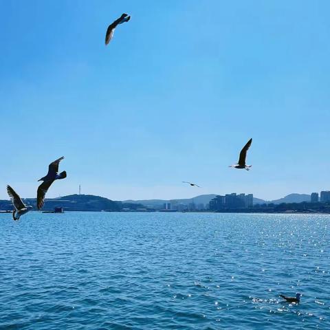 “馨行动” 快乐伴成长——水仙小学五年一班春季研学实践活动