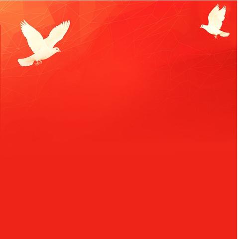 国旗飘扬伴成长——鸡泽二幼升旗活动