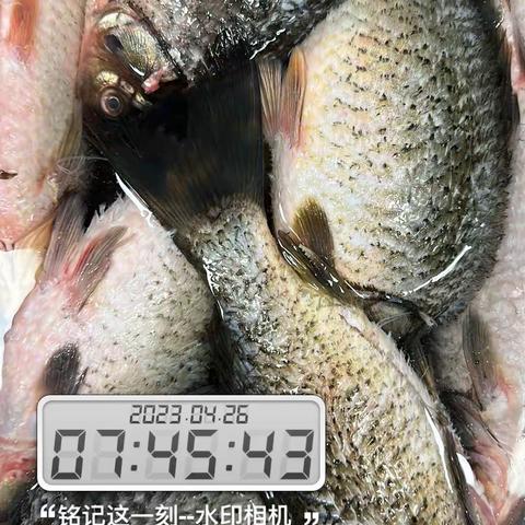 4.26宁波绿动体系安全日报