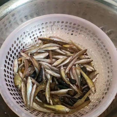 河鲜美食