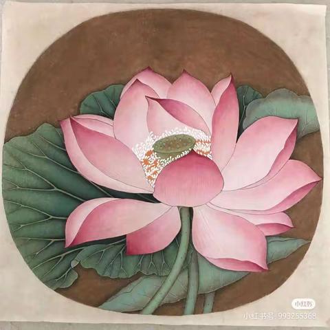 红果惠画堂国画班今日所学（出水芙蓉图）