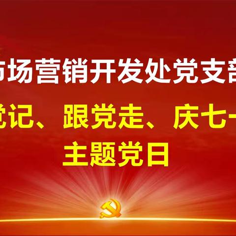 市场营销开发处党支部开展 “学党纪 跟党走 庆七一”主题党日活动