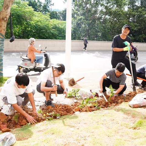 国庆献礼，绿美校园 ‍——文山市第二小学男教师共植长春花，守护学生安全通道
