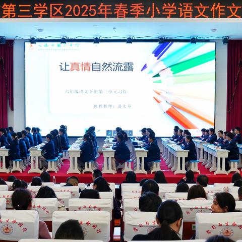 “研”语绽芳华，聚力共成长 ——记文山市第三学区小学语文习作教学培训