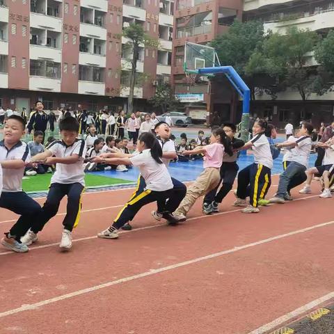 不负热爱，活力飞扬 —— 406班秋季校运会小记