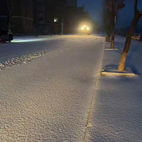 齐心协力，除雪保畅———城镇环卫环境综合管理处市政管理站