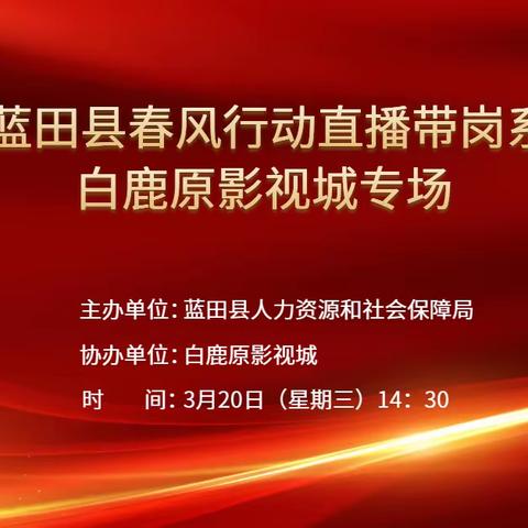 春风煦煦，服务暖暖-蓝田县开展“春风行动”第七场直播带岗活动！