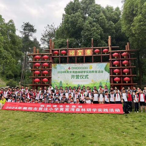 24.5.21 | 襄阳市贾洼小学“我的课本是森林”研学实践教育活动