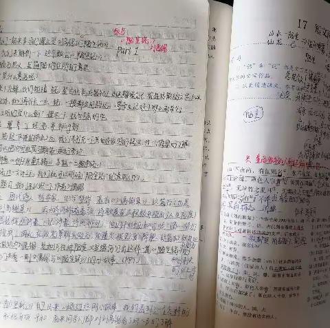 新课教学纪实