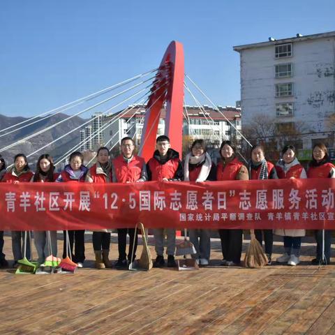平顺县青羊镇青羊社区联合国家统计局平顺调查队开展“ 12.5国际志愿者日”志愿服务活动