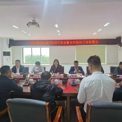 椰林镇召开2025年兵役登记暨上半年征兵工作推进会