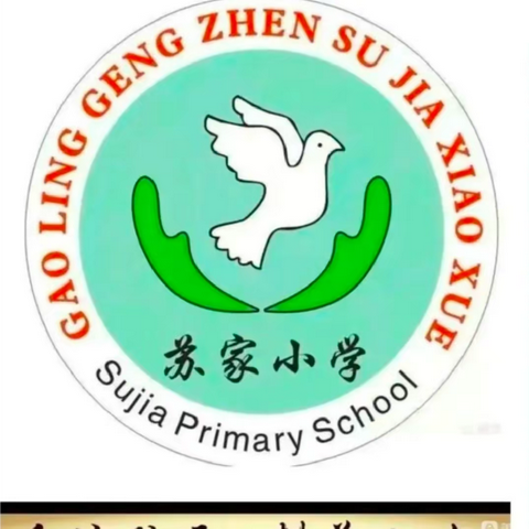 心有所想，手有所成——耿镇苏家小学手工社团                          精彩呈现