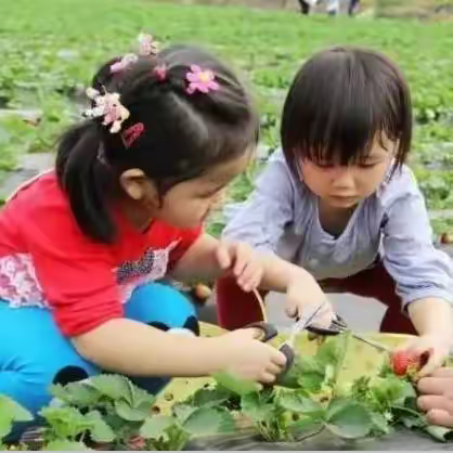 “农场主”招募令---我有一块自留地