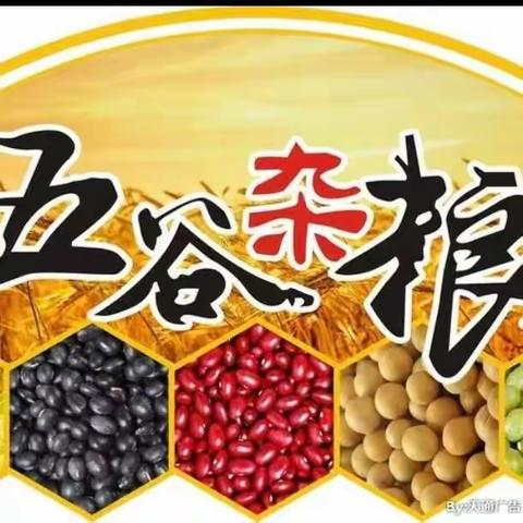 【马泉营校区】动手动脑显身手 五谷杂粮绘童心