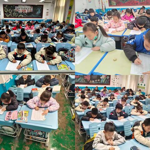 “算”你厉害，“数”你精彩——舞雩坛小学二年级数学学科活动