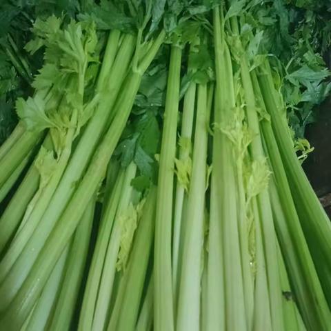 华联品鲜汇生活超市（东益店）周三周四会员日（8月23日——8月24日）