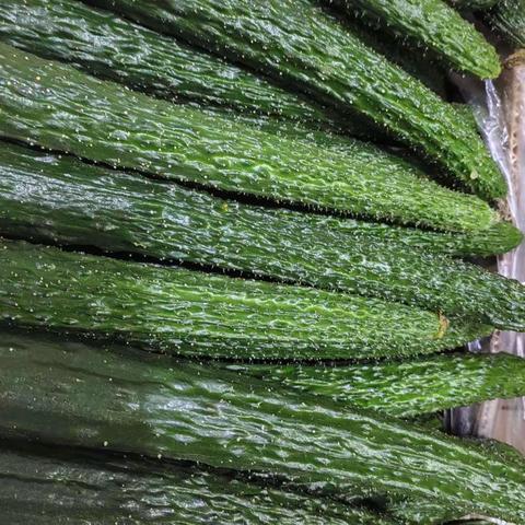 华联品鲜汇生活超市（东益店）周三周四会员日（9月6日——9月7日）