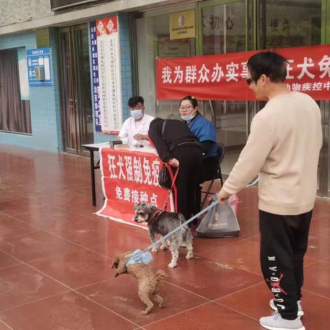 【长庆未央湖花园社区】开展2023年春季犬类疫苗免费接种活动