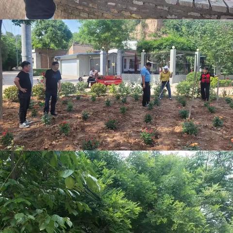 【西咸新区窑店街道办】窑店街道办持续开展人居环境大整治