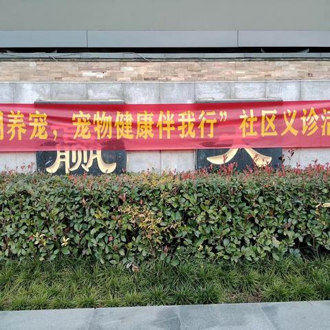 【观澜美好家•和美观澜】“文明养宠，宠物健康伴我行”社区义诊活动