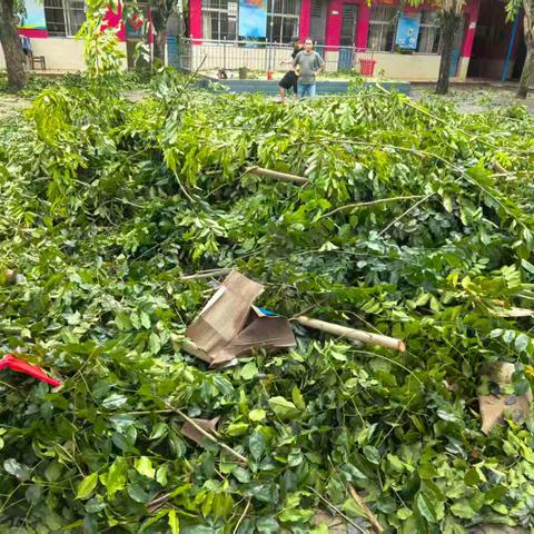 风雨同舟护校园 一一南江小学开展“麦德姆”台风灾后自救行动